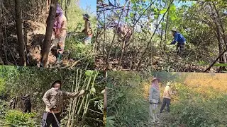 Hnub no peb luaj tag ntau kawg li os twb yuav tag lawm os 