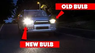 Top 5 Best H11 Bulbs for 2025: Best Halogen Headlight Bulb