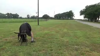 Thirty foot check cord