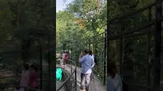 A visit to Guwahati zoo
