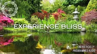 Experience Bliss / Maitreya Reiki&trade;