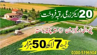 20 Acres Fertile Agriculture Land for Sale in Punjab Pakistan | Affordable Farming Land