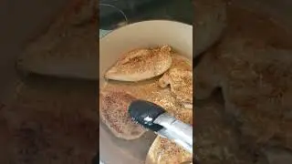 Pan Seared chicken with a basil pesto cream sauce