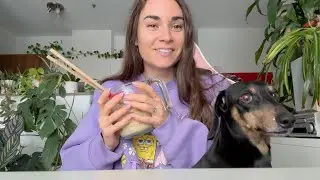💕Journée de tempête avec Killer🐶❄️
