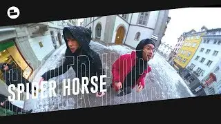 BEATBOX PLANET | St. Gallen - Spider Horse - Chris Celiz & Gene