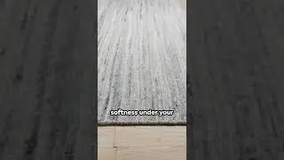 EORC KC13000IV Hand-Knotted Wool Lori Baft Gabbeh Design Solid Color Rug, NATURAL IVORY Area Rug
