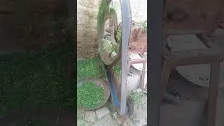 पशुओं के लिए गंडासे से घास | असली आवाज#shorts#RealWork  #VillageLife  #DesiMehnat  #SatisfyingVideo