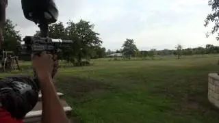 shocktech cocker shooting
