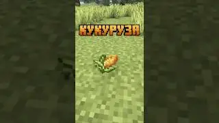 Майнкрафт КУКУРУЗА #shorts #minecraftmods