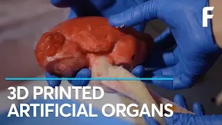 Scientists Can Now 3D Print Functional Organs