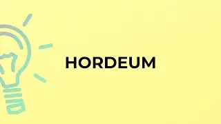What is the meaning of the word HORDEUM?