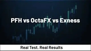 PFH vs OctaFX vs Exness &mdash; Real Test. Real Results.