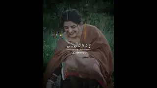 pashto poetry status ❤️ | pashto new shayari -  deep lines   #shorts