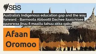 Australia&rsquo;s Indigenous education gap and the way forward - Barmoota Abbootii Dachee ilaalchisee...