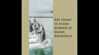 Things To Do In Subic Bay Freeport Zone Philippines | Daomlette
