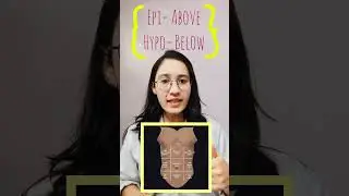 Regions of Abdomen |Abdominal Regions|