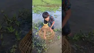 🔥😹 Best Fishing Skills #fishing #shortvideos #viral #fish