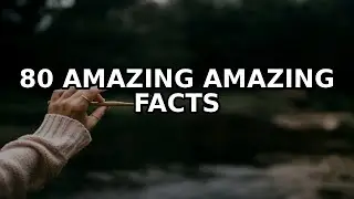 80 Amazing Facts About Sustainable living tips and green habits