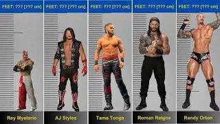 WWE Superstars Height Comparison Chart 2025 | Shortest Up Tallest