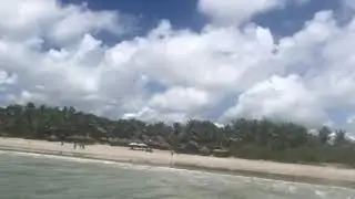 Buenavista surf camp