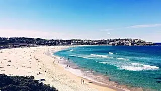Extinction Rebellion's Bondi Beach protest, &lsquo;didn&rsquo;t hurt anyone&rsquo;