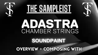 The Sampleist - Adastra Chamber Strings by Soundpaint - Overview - Composing With