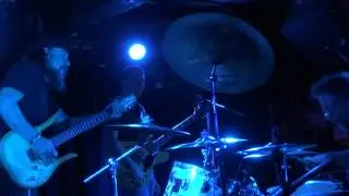 A Minor Forest at the Empty Bottle 2 of 3
