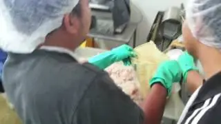 Surimi Processing (Fish Paste) part 3