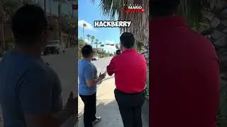 La Evidencia no esta en el escritorio&hellip;. Abogado Mario Davila .
