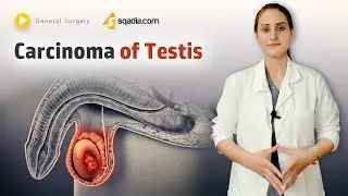 Carcinoma of Testis | Surgery | Video Tutorial | Online Classes Lecture | V-Learning