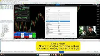 B&agrave;i 4 : C&aacute;c t&iacute;nh năng input Auto DCA ( bản v1.1 )
