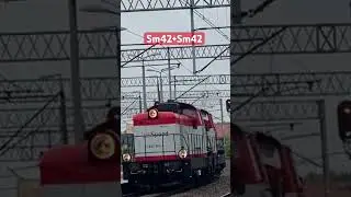 Duecik stonek leci przez fosowskie