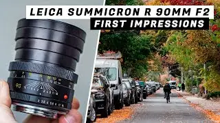 Слишком хорош, чтобы быть винтажным объективом &mdash; Leica Summicron R 90mm f2