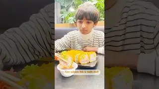 Exploring the Art of Sushi 🍣 | Bianca Dinesh #trending #viral #youtubeshorts #shortsvideo