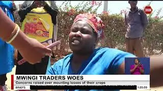 Mwingi wholesale banana traders raise concerns over mounting losses of their crop