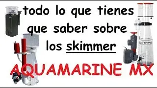¡Todo lo que tienes que saber sobre los skimmers!