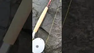 Iwana minami 3.@ Echo River glass 8.6 ft.#5 line