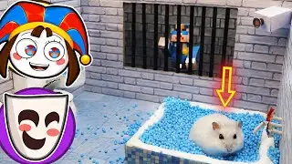 Circo Digital Assiste à Fuga do Hamster da Prisão