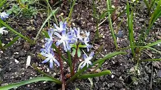 ATAKLOA: The Documentary of Biomes, UK Habitats, Energy Flows and Bees part 3/4