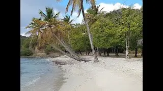 Caribbean Stories
