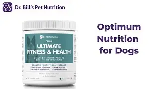 Ultimate Fitness & Health for Dogs | Dr. Bill's Pet Nutrition