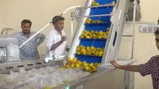MANGO WASHER BY GREEN LAB EQUIPMENT