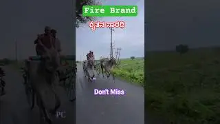 Fire Brand Farmers Bulls| #horihabbathebullrace #bullrace #bull #bullracevideo #music #entertainment