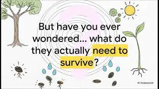 The Secret Recipe for Plant Life
