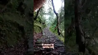 #travel #tracking #track #deoria #deoriatal #uattrakhand #funtime #lovetravel #solotraveler #camp