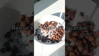 Healthy Reese&rsquo;s Cocoa Puffs Cereal Made From&hellip; CHICKPEAS? 🍫🥣🥜 #recipes #breakfast