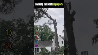 Last one 🤣