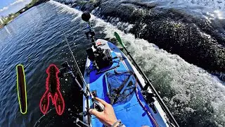Special mission 🚨 Catching 1st Small Mouth Bass! #kayakfishing #smallmouthbass #largemouthbass #fish