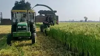 Multi Crop chopper / Barley Field/ Forage harvester