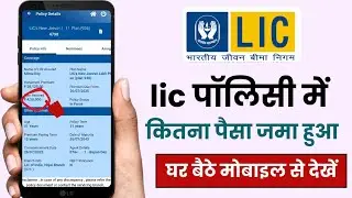 lic policy me kitna paisa jama hua kaise dekhe ll lic policy payment details check ll lic new update
